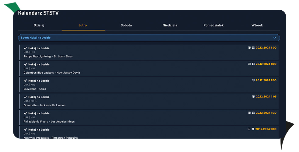 transmisje z hokeja w sts
